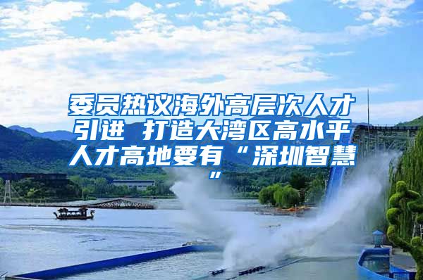 委員熱議海外高層次人才引進 打造大灣區(qū)高水平人才高地要有“深圳智慧”