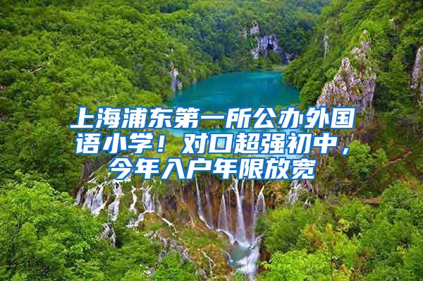 上海浦東第一所公辦外國語小學(xué)！對(duì)口超強(qiáng)初中，今年入戶年限放寬