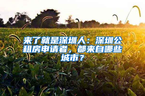 來了就是深圳人：深圳公租房申請者，都來自哪些城市？