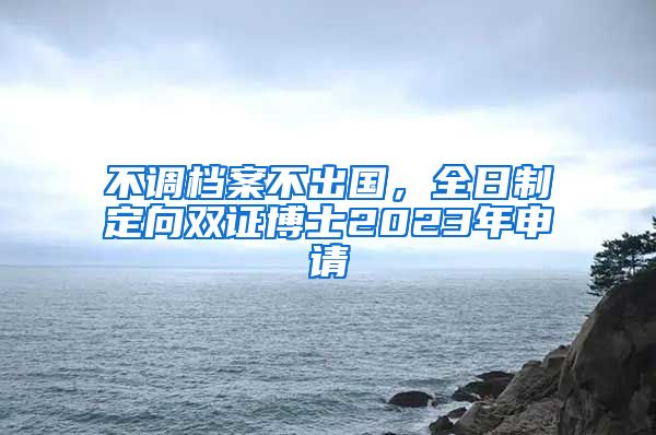 不調(diào)檔案不出國，全日制定向雙證博士2023年申請