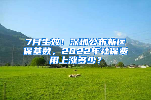 7月生效！深圳公布新醫(yī)保基數(shù)，2022年社保費(fèi)用上漲多少？