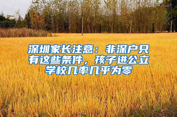 深圳家長(zhǎng)注意：非深戶只有這些條件，孩子進(jìn)公立學(xué)校幾率幾乎為零