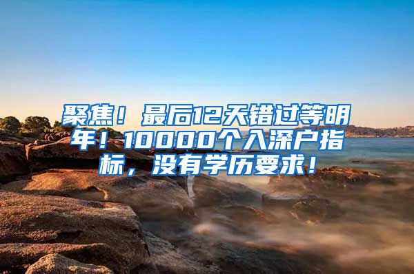 聚焦！最后12天錯過等明年！10000個入深戶指標，沒有學歷要求！