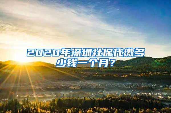 2020年深圳社保代繳多少錢一個(gè)月？