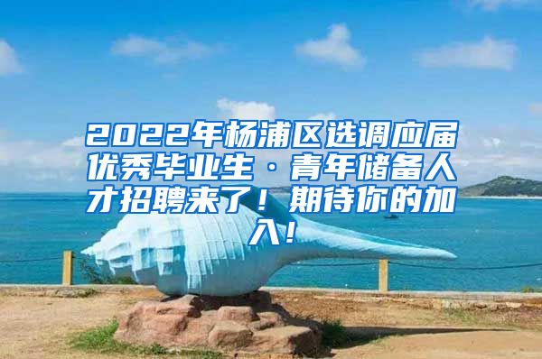 2022年楊浦區(qū)選調(diào)應(yīng)屆優(yōu)秀畢業(yè)生·青年儲備人才招聘來了！期待你的加入！