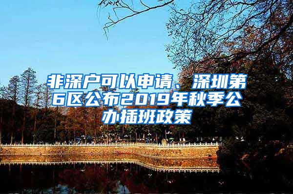 非深戶可以申請(qǐng)、深圳第6區(qū)公布2019年秋季公辦插班政策