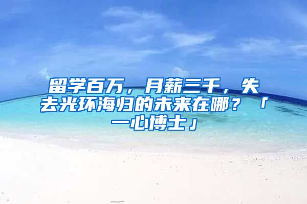 留學(xué)百萬，月薪三千，失去光環(huán)海歸的未來在哪？「一心博士」