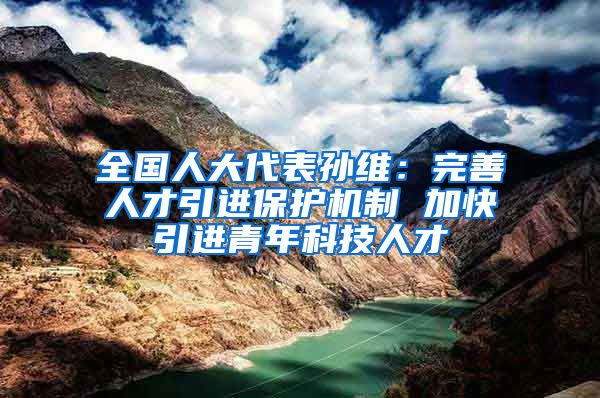 全國(guó)人大代表孫維：完善人才引進(jìn)保護(hù)機(jī)制 加快引進(jìn)青年科技人才