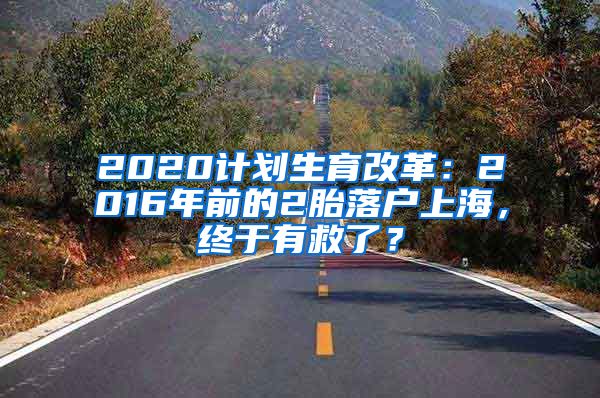 2020計劃生育改革：2016年前的2胎落戶上海，終于有救了？