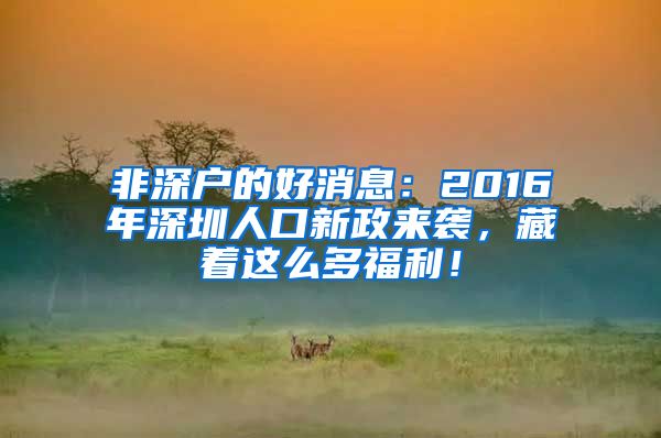 非深戶的好消息：2016年深圳人口新政來襲，藏著這么多福利！