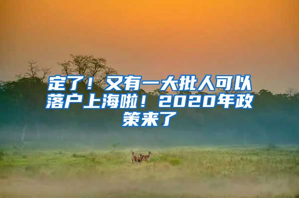 定了！又有一大批人可以落戶上海啦！2020年政策來了