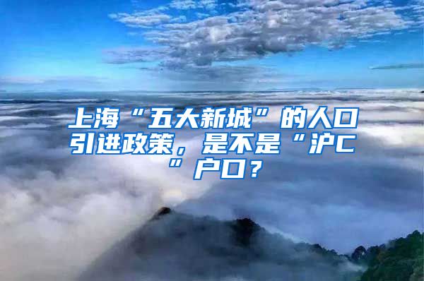 上?！拔宕笮鲁恰钡娜丝谝M(jìn)政策，是不是“滬C”戶口？