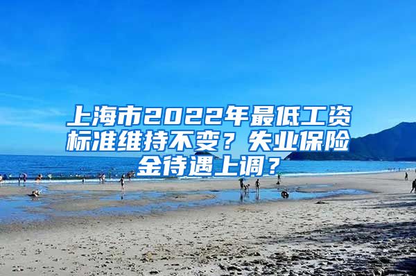 上海市2022年最低工資標(biāo)準(zhǔn)維持不變？失業(yè)保險金待遇上調(diào)？