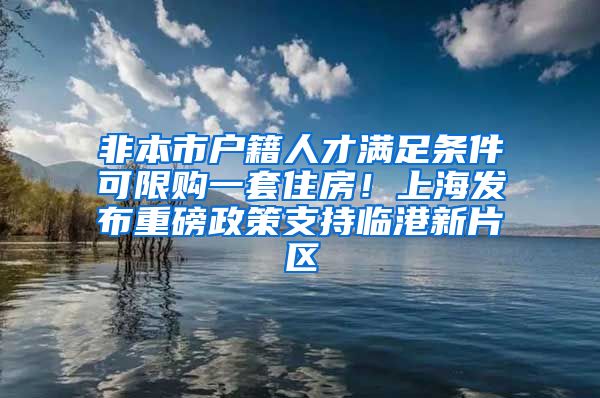 非本市戶籍人才滿足條件可限購一套住房！上海發(fā)布重磅政策支持臨港新片區(qū)