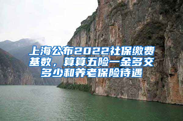 上海公布2022社保繳費(fèi)基數(shù)，算算五險(xiǎn)一金多交多少和養(yǎng)老保險(xiǎn)待遇