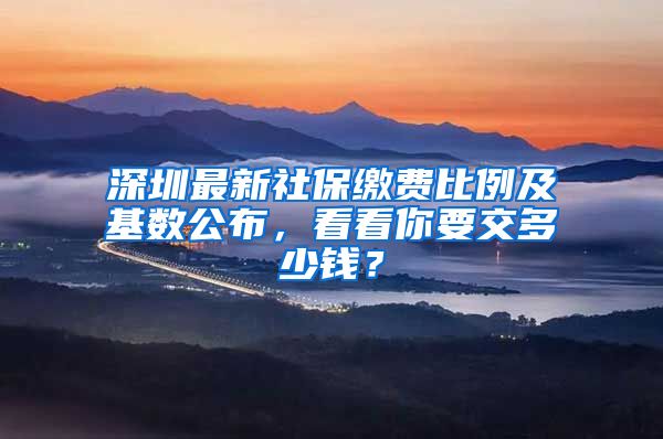 深圳最新社保繳費比例及基數(shù)公布，看看你要交多少錢？