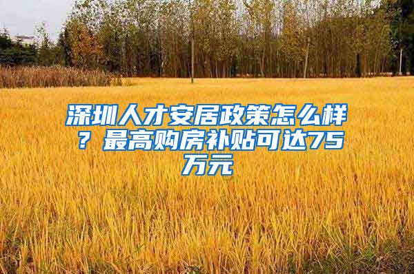 深圳人才安居政策怎么樣？最高購房補(bǔ)貼可達(dá)75萬元