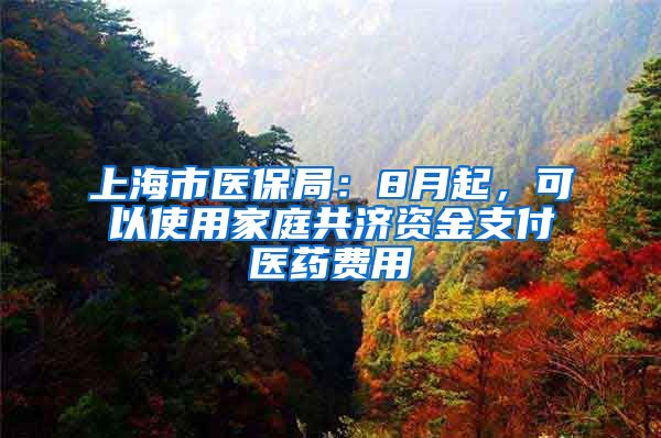 上海市醫(yī)保局：8月起，可以使用家庭共濟(jì)資金支付醫(yī)藥費(fèi)用