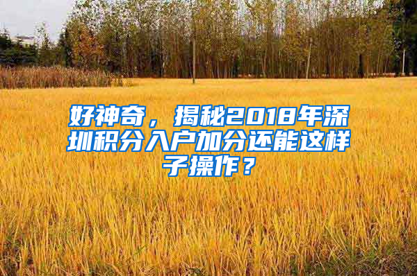 好神奇，揭秘2018年深圳積分入戶加分還能這樣子操作？