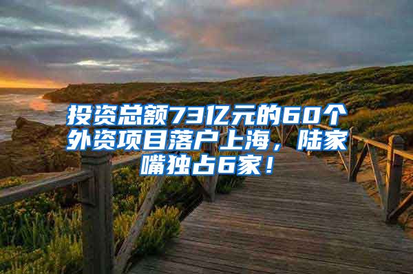 投資總額73億元的60個(gè)外資項(xiàng)目落戶上海，陸家嘴獨(dú)占6家！