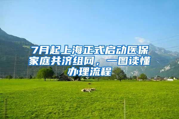 7月起上海正式啟動醫(yī)保家庭共濟(jì)組網(wǎng)，一圖讀懂辦理流程