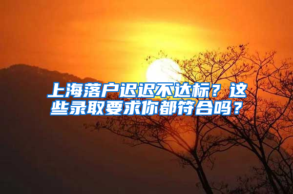 上海落戶遲遲不達(dá)標(biāo)？這些錄取要求你都符合嗎？