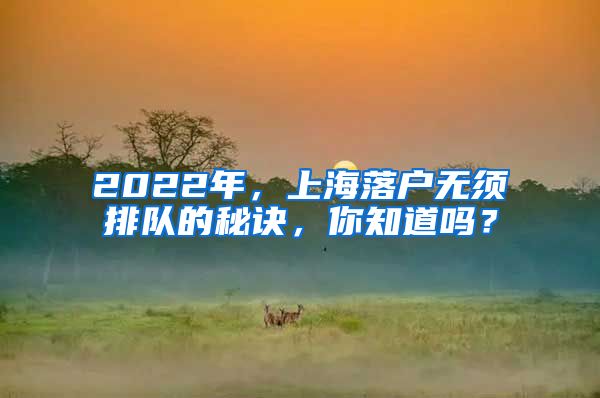 2022年，上海落戶無(wú)須排隊(duì)的秘訣，你知道嗎？