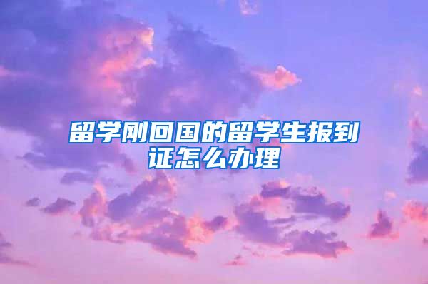 留學剛回國的留學生報到證怎么辦理