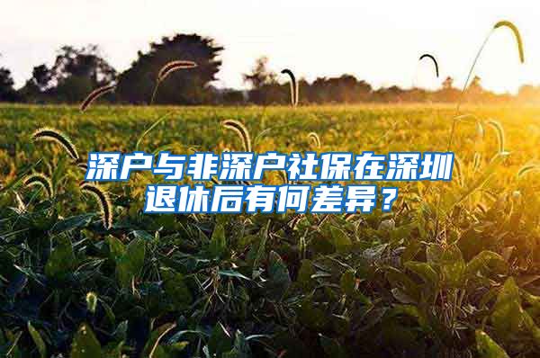 深戶與非深戶社保在深圳退休后有何差異？