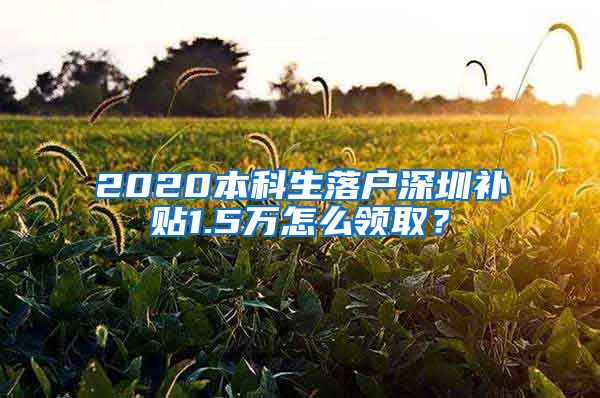 2020本科生落戶深圳補貼1.5萬怎么領(lǐng)?。?/></p>
			 <p style=