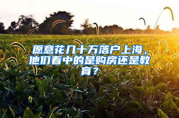 愿意花幾十萬落戶上海，他們看中的是購房還是教育？