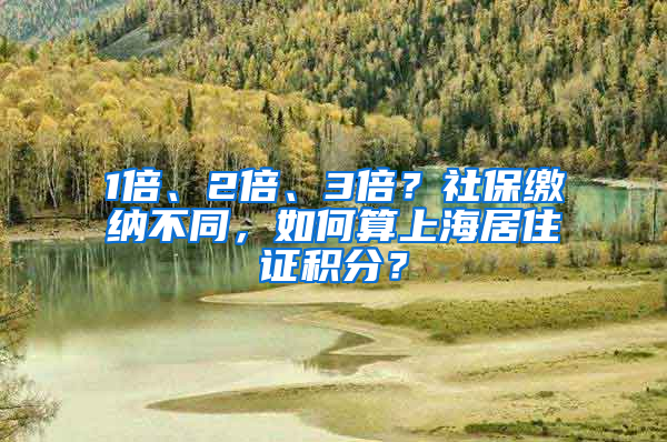 1倍、2倍、3倍？社保繳納不同，如何算上海居住證積分？