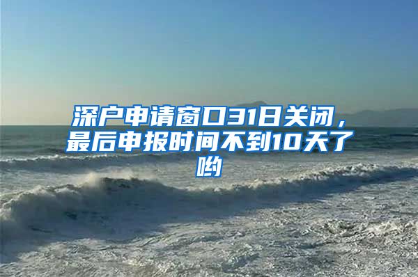 深戶申請窗口31日關(guān)閉，最后申報時間不到10天了喲