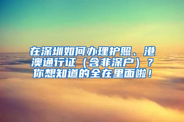 在深圳如何辦理護(hù)照、港澳通行證（含非深戶）？你想知道的全在里面啦！