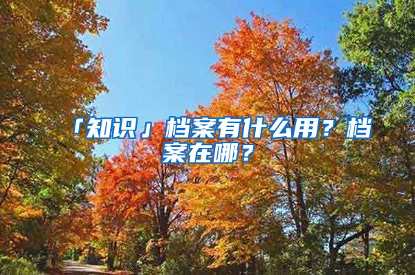 「知識」檔案有什么用？檔案在哪？