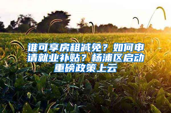 誰(shuí)可享房租減免？如何申請(qǐng)就業(yè)補(bǔ)貼？楊浦區(qū)啟動(dòng)重磅政策上云