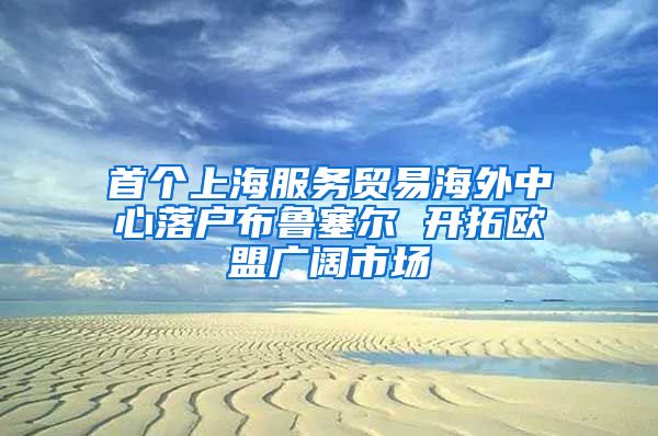 首個(gè)上海服務(wù)貿(mào)易海外中心落戶布魯塞爾 開拓歐盟廣闊市場