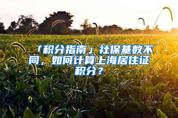 「積分指南」社保基數(shù)不同，如何計算上海居住證積分？