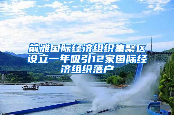 前灘國(guó)際經(jīng)濟(jì)組織集聚區(qū)設(shè)立一年吸引12家國(guó)際經(jīng)濟(jì)組織落戶