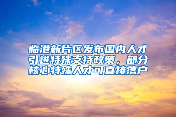 臨港新片區(qū)發(fā)布國(guó)內(nèi)人才引進(jìn)特殊支持政策，部分核心特殊人才可直接落戶