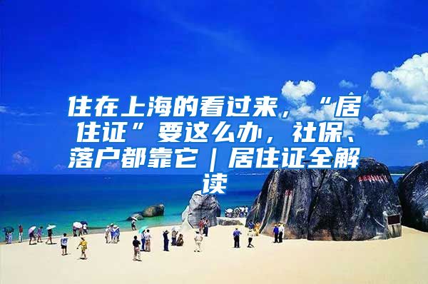 住在上海的看過來，“居住證”要這么辦，社保、落戶都靠它｜居住證全解讀