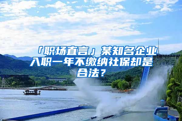 「職場直言」某知名企業(yè)入職一年不繳納社保卻是合法？