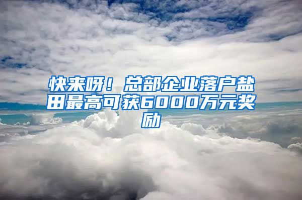 快來(lái)呀！總部企業(yè)落戶鹽田最高可獲6000萬(wàn)元獎(jiǎng)勵(lì)