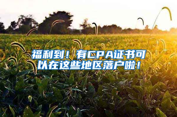 福利到！有CPA證書可以在這些地區(qū)落戶啦！