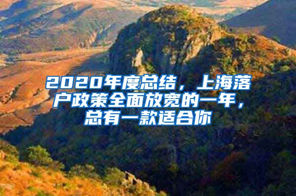 2020年度總結(jié)，上海落戶政策全面放寬的一年，總有一款適合你