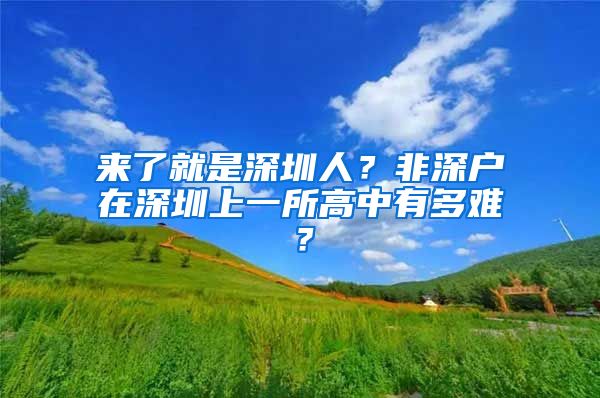 來了就是深圳人？非深戶在深圳上一所高中有多難？