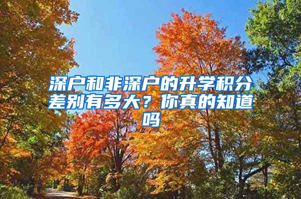 深戶和非深戶的升學(xué)積分差別有多大？你真的知道嗎