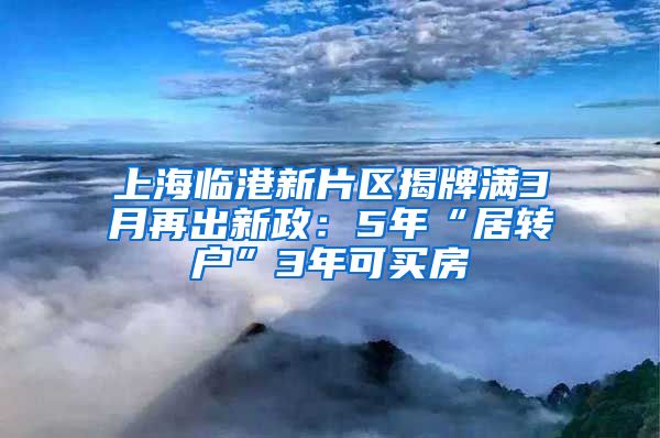 上海臨港新片區(qū)揭牌滿3月再出新政：5年“居轉(zhuǎn)戶”3年可買(mǎi)房