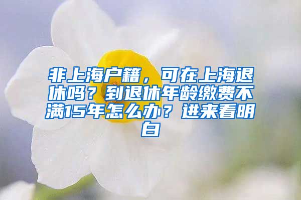 非上海戶籍，可在上海退休嗎？到退休年齡繳費(fèi)不滿15年怎么辦？進(jìn)來(lái)看明白