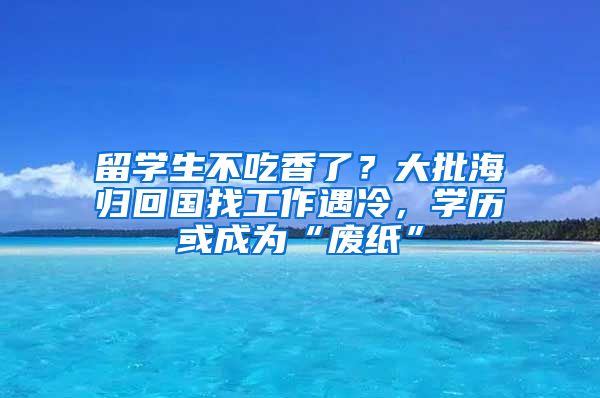 留學(xué)生不吃香了？大批海歸回國找工作遇冷，學(xué)歷或成為“廢紙”